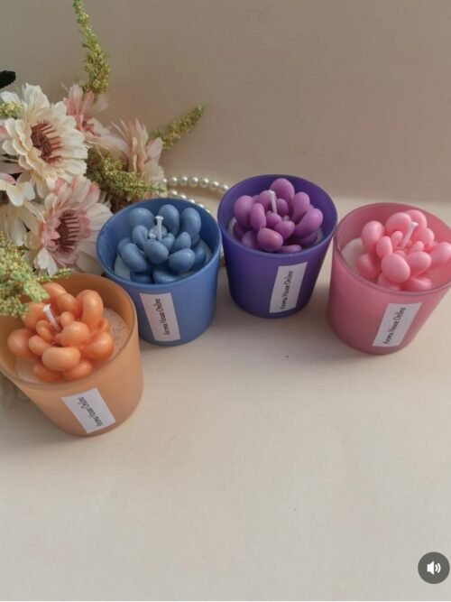 Succulent Jar Candle